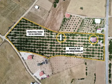 Yeşilyayla'da Satılık 19.759m² Ceviz (chandler) Bahçesi Ve Evi Yeşilyayla'da Satılık 19.759m² Ceviz (chandler) Bahçesi Ve Evi