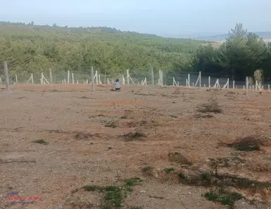 Menderes Çatalca'da Satılık Hisse Tapu Tarla Menderes Çatalca'da Satılık Hisse Tapu Tarla