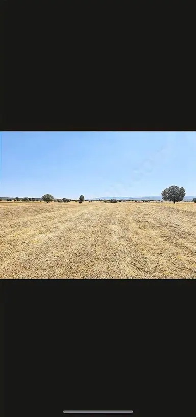 Banaz Susuz Köyünde Uygun 4500m2 Düz Arazi Banaz Susuz Köyünde Uygun 4500m2 Düz Arazi