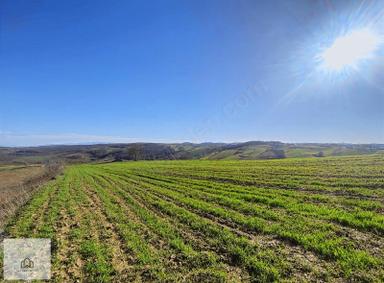 İzmit Kaynarcada 2823m2 Yolu Açık Doğa Manzaralı Tarla