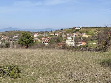 İznik Çampınar'da Gölü Gören, Yerleşime Yakın 7802 M2 Tarla