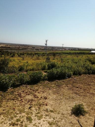 Adana Karataş Bebeli Tarım Osb Bitişiğinde Hobi Bahçesi Ve Yatırımlık Arsa