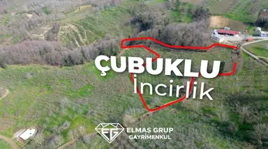 Serdivan Çubuklu'da 8.431 M² Satılık Fındık Bahçesi