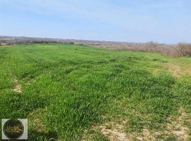 Babaeski Yeniköyde Satılık 2.900 M2 Bağ Tapulu Babaeski Yeniköyde Satılık 2.900 M2 Bağ Tapulu