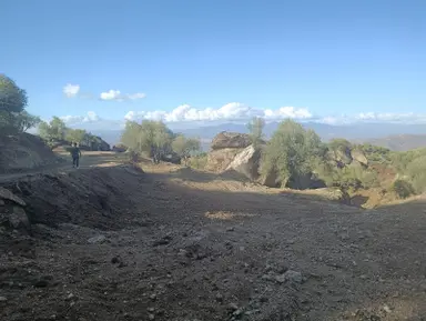Akinitadan Aydın Koçarlı Gözkayası'nda Satılık Verimli Zeytinlik🌿 Akinitadan Aydın Koçarlı Gözkayası'nda Satılık Verimli Zeytinlik🌿