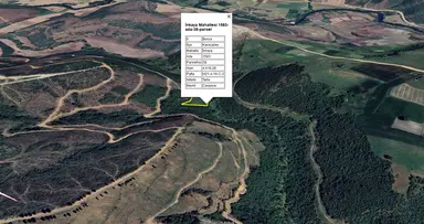 Bursa Karacabey İnkaya Köyü'nde 4616 M2 Satılık Tarla