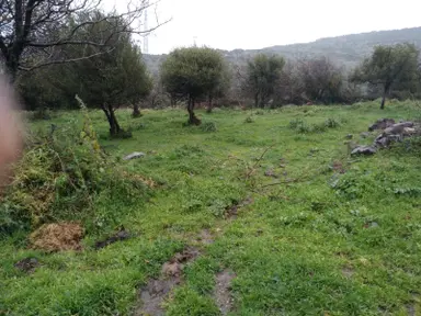 Aliağa Çıtak Mahallesinde İmarlı Arsa Satılıktır Aliağa Çıtak Mahallesinde İmarlı Arsa Satılıktır