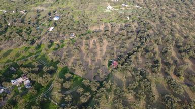 Aşağışakranda Uygulama İçerisinde İmara Açılacak 2400m2 Zeytinli Aşağışakranda Uygulama İçerisinde İmara Açılacak 2400m2 Zeytinli