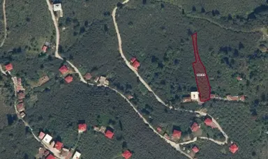 Vavien Emlak'tan Bahçeli Köyü İçerisinde Satılık Fındık Bahçesi Vavien Emlak'tan Bahçeli Köyü İçerisinde Satılık Fındık Bahçesi