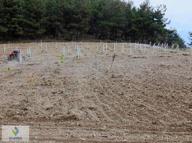 Uluoba'dan Bilecikte Hazır Kurulu Bahçe Uluoba'dan Bilecikte Hazır Kurulu Bahçe
