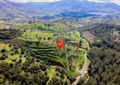 Seferihisar Orhanlıda Yola Cephe 12.850 M² Elektrik Su Hazır Seferihisar Orhanlıda Yola Cephe 12.850 M² Elektrik Su Hazır