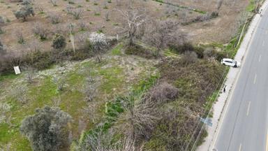 Ortaklar'da Anayol Üzerı Satılık 1.559 M² Tarla