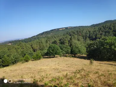 Balıkesir Havran Küçükşapçıda Kelepir 18.603m2 Müstakil Arazi Balıkesir Havran Küçükşapçıda Kelepir 18.603m2 Müstakil Arazi