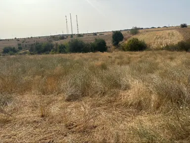 Uygun Fiyata Tarla İmar Sinirina 200 Metre Uygun Fiyata Tarla İmar Sinirina 200 Metre