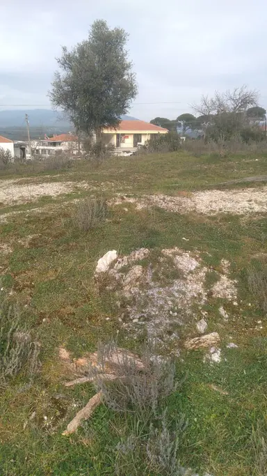 Muğla Milas Çamlııurt Mahallesinde Satılık Arsa Muğla Milas Çamlııurt Mahallesinde Satılık Arsa