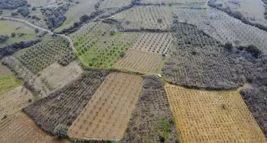 Karaağaç'ta Yatırımlık Bağ