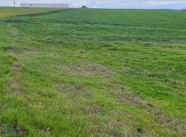 Saray Kurtdere Mahallesinde Tek Tapu 980 Metre Fiyat 690 Bin