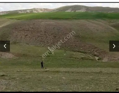 Araç İle Takas Yapılır Sahibinden Tek Tapu Satlik Tarla 2.042