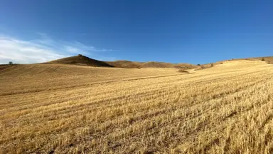 Sahibinden Gicik'de Yatırımlık Tarla 3,2 Dönüm. Sahibinden Gicik'de Yatırımlık Tarla 3,2 Dönüm.