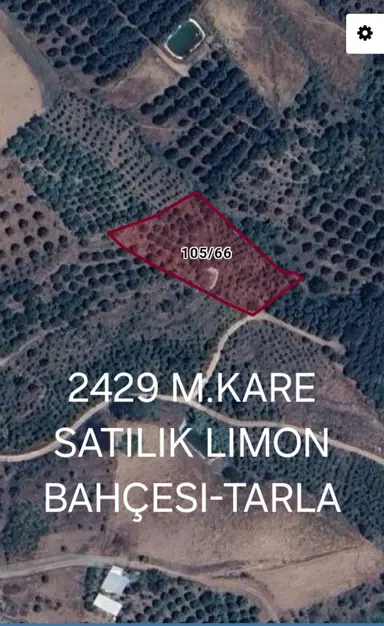 Mersin Erdemli Dağlı Mahallesinde 2429 M.kare Müstakil Tapulu Satılık Limon Bahçesi