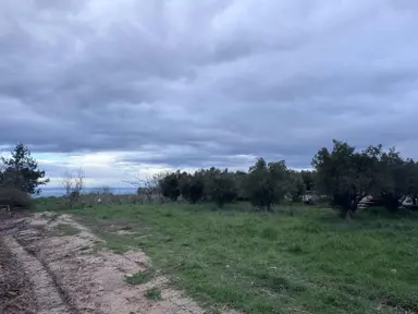 Şarköy Çınarlıda Köy İçi İmarlı Deniz Manzaralı Arsa