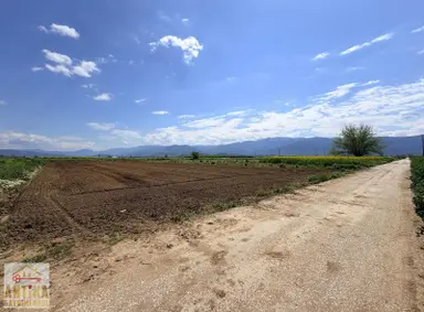Antika Gayrimenkulden Asfalta Cepheli 2.500 M² Satılık Tarla Antika Gayrimenkulden Asfalta Cepheli 2.500 M² Satılık Tarla