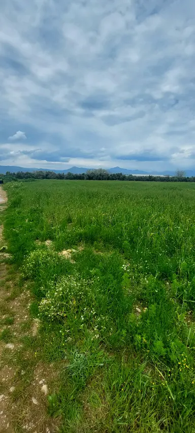 10250 M2 Dümdüz Arazi