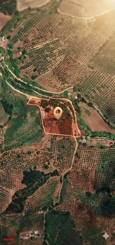 Gemlik Muratobada Kaçırılmayacak Fırsat! Gemlik Muratobada Kaçırılmayacak Fırsat!