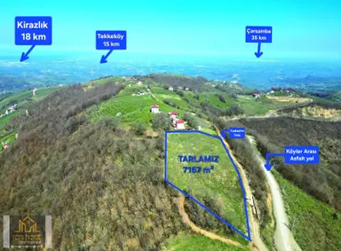 Tekkeköy Yaylageriş Tek Tapu Yola Cephe 7167m² Satılık Tarla