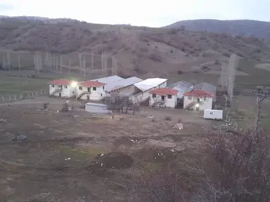 Çorum Uğurludağ Satılık Büyük Baş Hayvan Çiftliği