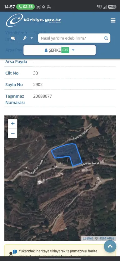 Mahmutseydi Gökçen Mevkiinde Satılık Zeytinlik Tek Tapu Su Ve Yolu Var