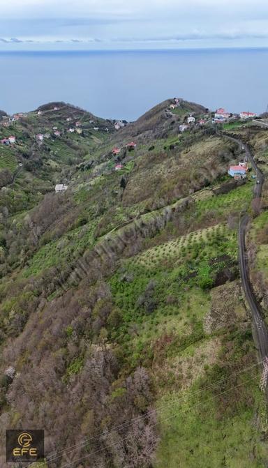 Efe Gayrimenkulden Mersinde Satılık Ful Deniz Manzaralı Arsa Efe Gayrimenkulden Mersinde Satılık Ful Deniz Manzaralı Arsa