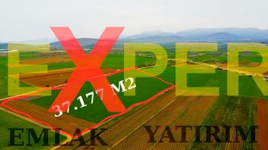 İslam Köy De (37.177m2) Yola Sıfır Acil Satılıktır İslam Köy De (37.177m2) Yola Sıfır Acil Satılıktır