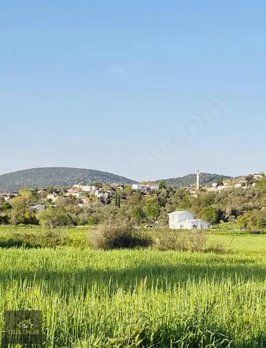 Milas Kuzyakada Satılık Tarla