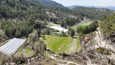 Acıpayam'da Satılık Kargir Ev Ve Tarla Acıpayam'da Satılık Kargir Ev Ve Tarla