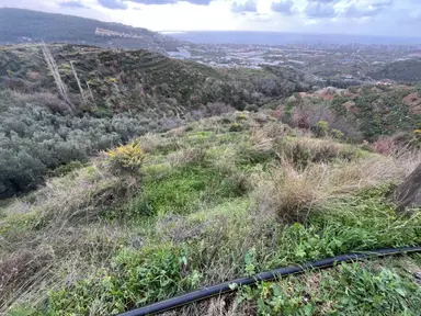 Alanya Kargıcak Mh Deniz Kale Doğa Manzaralı Satılık İmarlı Arsa