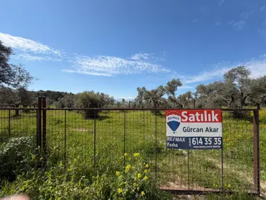 Şehır Merkezıne Yakın 11.268 M² Satılık Zeytınlık