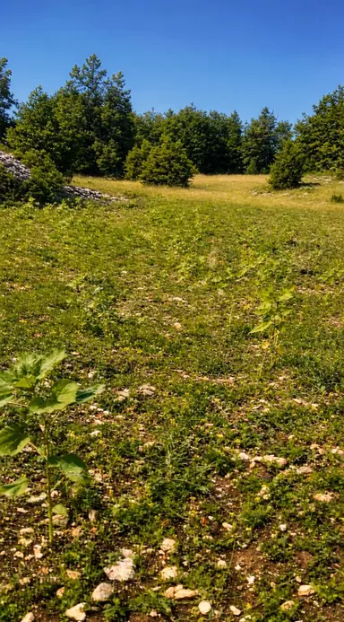 Bursa Keles Uzunöz’de Satılık 4.060 M² Yatırımlık Arazi Bursa Keles Uzunöz’de Satılık 4.060 M² Yatırımlık Arazi