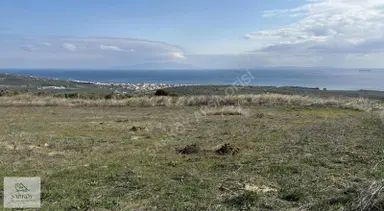 Mürefte'nin En Güzel Deniz Manzaralı En Ön Cephe Arsası 270 M² Mürefte'nin En Güzel Deniz Manzaralı En Ön Cephe Arsası 270 M²