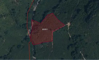 Lerox Uçar'dan Kazımkarabekir'de 11.051 M² Fındık Bahçesi