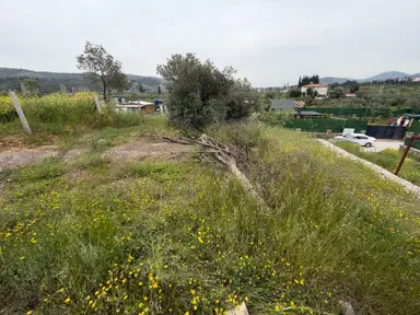Seferihisar Doğanbey Kavakdere De Satılık 300 M2 Kupon Arsa Seferihisar Doğanbey Kavakdere De Satılık 300 M2 Kupon Arsa