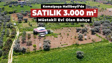 Kemalpaşa Halilbeylide Satılık 3000 M2 Bahçe 40 M2 Ev Kemalpaşa Halilbeylide Satılık 3000 M2 Bahçe 40 M2 Ev