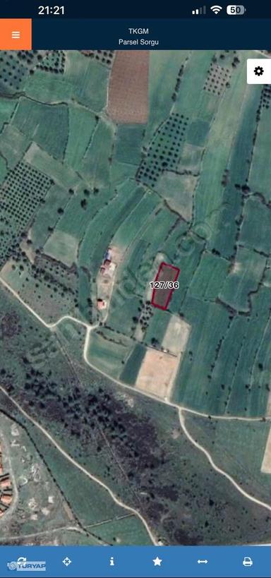 Muğla Milas Karapınar Muğla Milas Karapınar