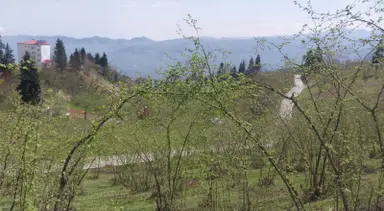 Kamışlı'da Önü Açık Doğa Manzaralı Arazi Kamışlı'da Önü Açık Doğa Manzaralı Arazi
