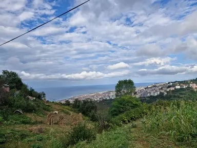 Deha Emlak`tan Satılık 768 M2 Arsa Karşıyaka Mahallesi Deha Emlak`tan Satılık 768 M2 Arsa Karşıyaka Mahallesi
