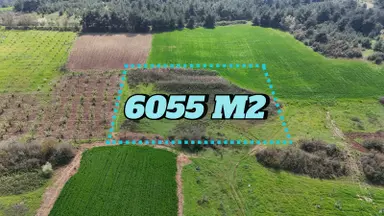 Sakarya Geyve Kozan 6055 M2 Yatırımlık Uygun Fırsat Tarla