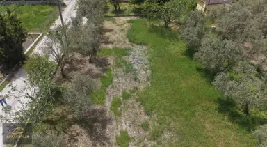 Muğla Fethiye Üzümlü Merkezde 789 M2 Tarla