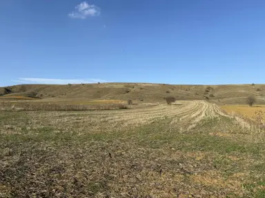 Mustafa Yılmaz'dan Söğüt Oluklu'da 4.390m² Arazi Mustafa Yılmaz'dan Söğüt Oluklu'da 4.390m² Arazi