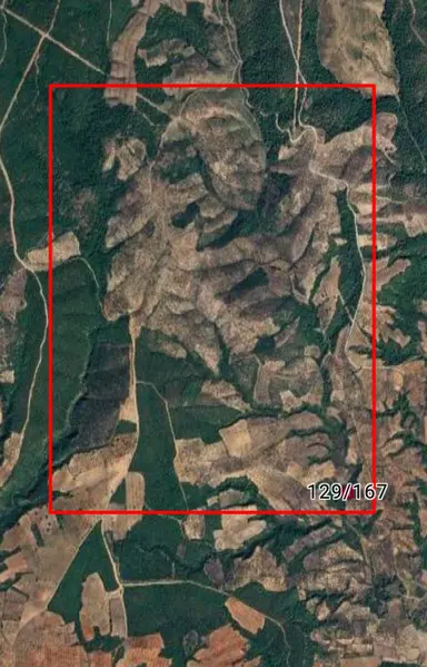 & Kerim'den Satılık Bayramiç'de Yatırımlık Zeytinlik