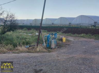 Köy Merkezine Yakin Yatırımlık Arsamiz Köy Merkezine Yakin Yatırımlık Arsamiz